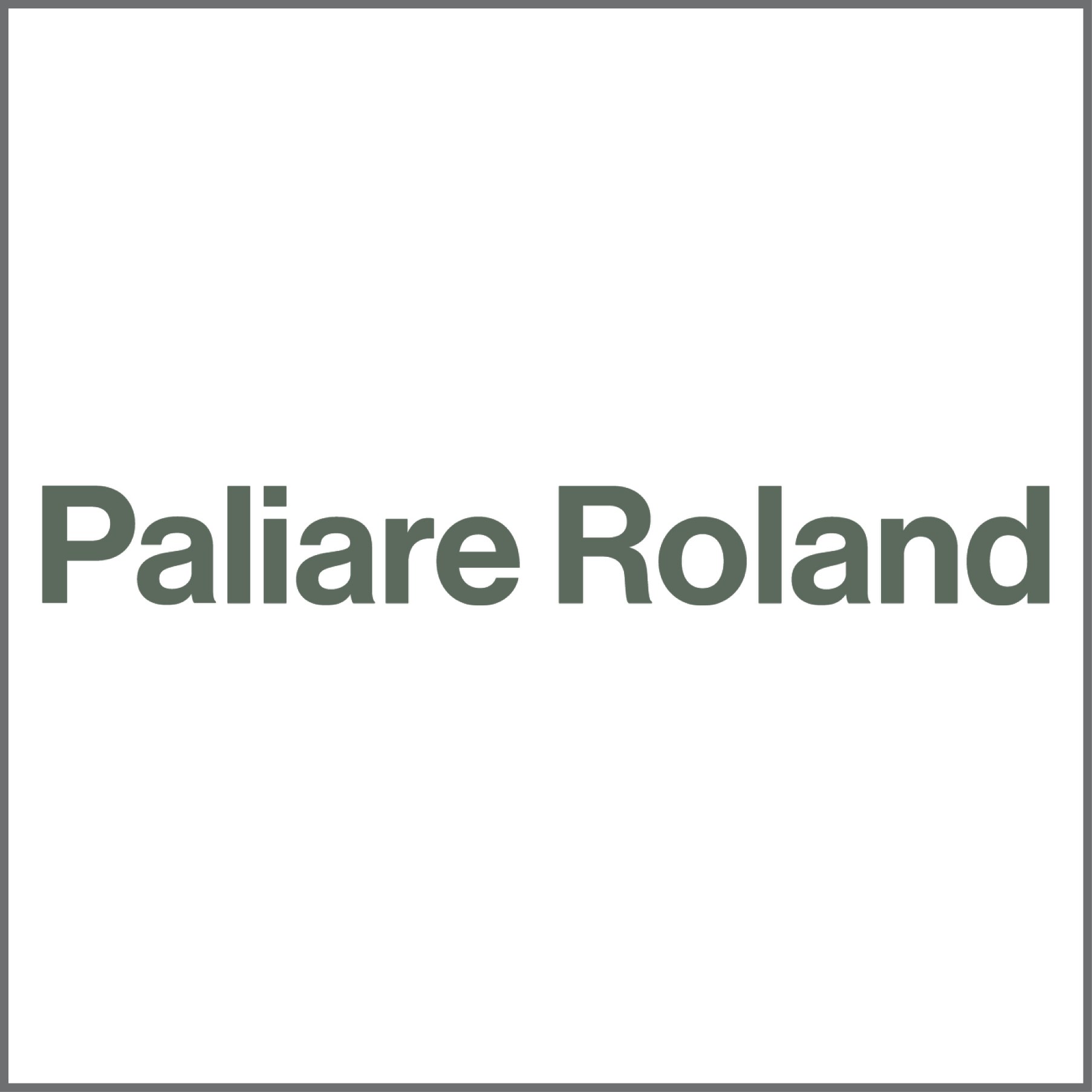 Paliare Roland Rosenberg Rothstein LLP